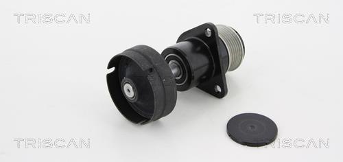 Rueda libre alternador Triscan A/S ref. 8641 164005