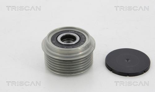 Rueda libre alternador Triscan A/S ref. 8641 164011