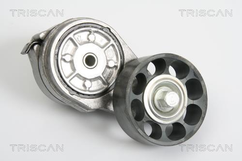 Tensor de correa, correa poli V Triscan A/S ref. 8641 173002