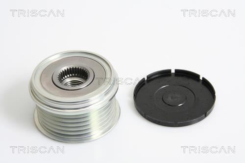 Rueda libre alternador Triscan A/S ref. 8641 204001