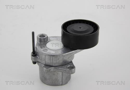 Rolo tensor da correia trapezoidal estriada Triscan A/S ref. 8641 231025