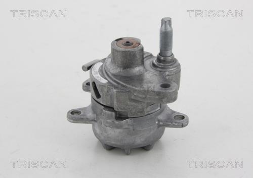 Polea tensora, correa auxiliar servicios Triscan A/S ref. 8641 232018