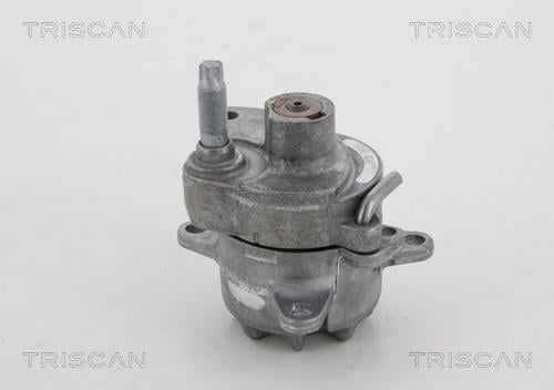 Polea tensora, correa auxiliar servicios Triscan A/S ref. 8641 232018