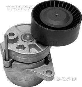 Tensor de correa, correa poli V Triscan A/S ref. 8641 233005