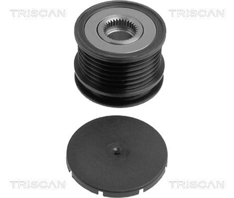Rueda libre alternador Triscan A/S ref. 8641 234004