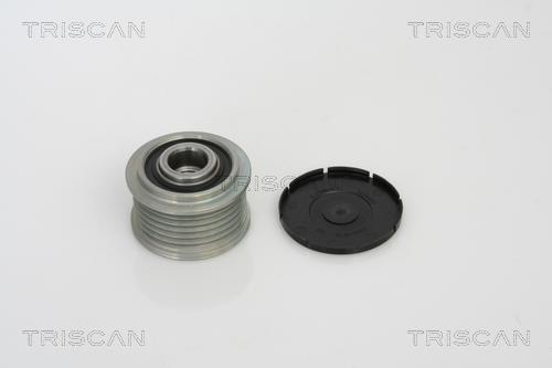 Rueda libre alternador Triscan A/S ref. 8641 234006