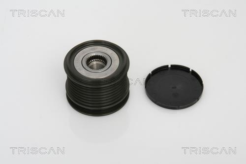 Rueda libre alternador Triscan A/S ref. 8641 234007