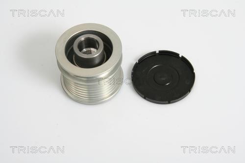 Rueda libre alternador Triscan A/S ref. 8641 234010