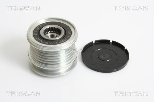 Rueda libre alternador Triscan A/S ref. 8641 234020