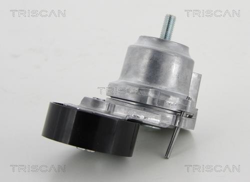 Galet tendeur de courroie d'accessoire Triscan A/S 8641 243014