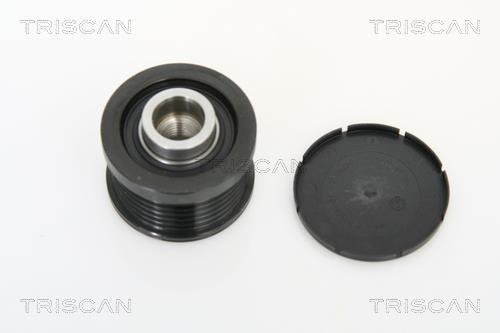 Rueda libre alternador Triscan A/S ref. 8641 244001