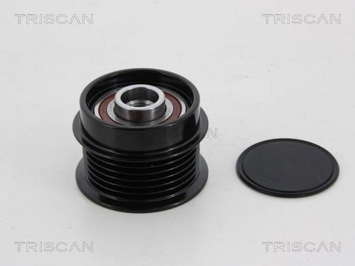 Rueda libre alternador Triscan A/S ref. 8641 244008