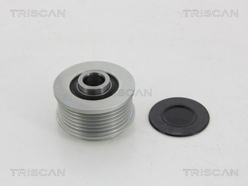 Rueda libre alternador Triscan A/S ref. 8641 244011