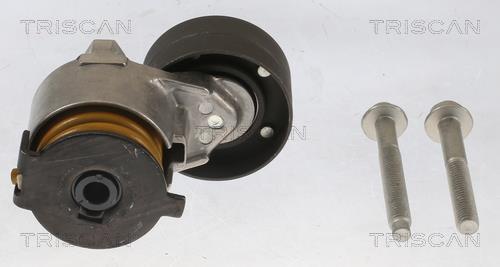 Tensor de correa, correa poli V Triscan A/S 8641 253005