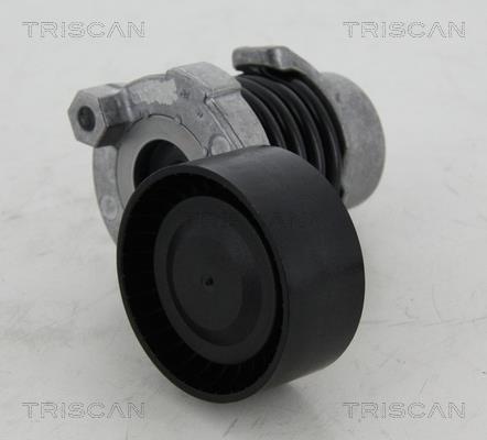 Rolo tensor da correia trapezoidal estriada Triscan A/S ref. 8641 253012