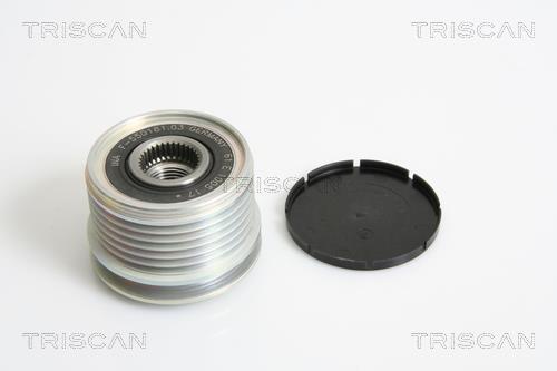 Rueda libre alternador Triscan A/S ref. 8641 254005