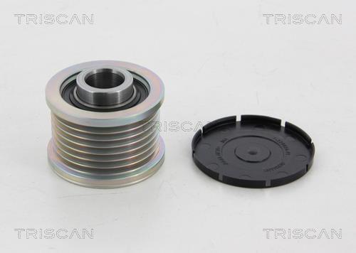 Rueda libre alternador Triscan A/S ref. 8641 254007