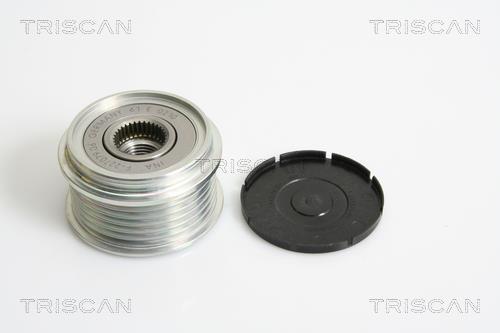 Rueda libre alternador Triscan A/S ref. 8641 274003