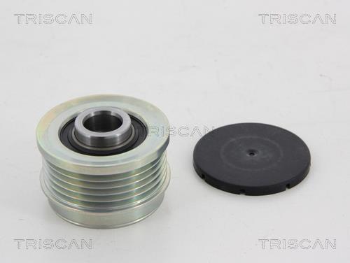 Rueda libre alternador Triscan A/S ref. 8641 274006