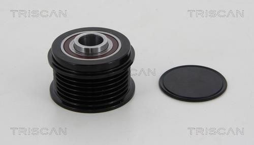 Rueda libre alternador Triscan A/S ref. 8641 274008