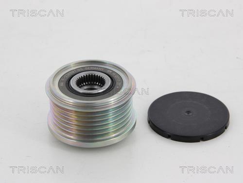 Rueda libre alternador Triscan A/S ref. 8641 284004