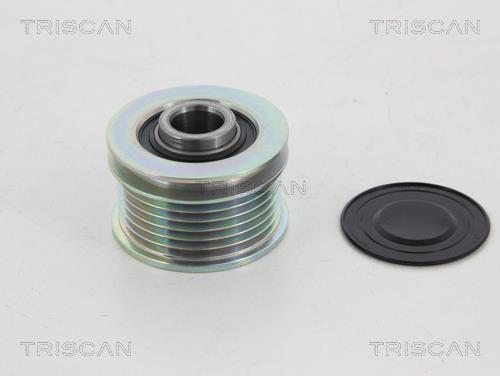 Rueda libre alternador Triscan A/S ref. 8641 284005