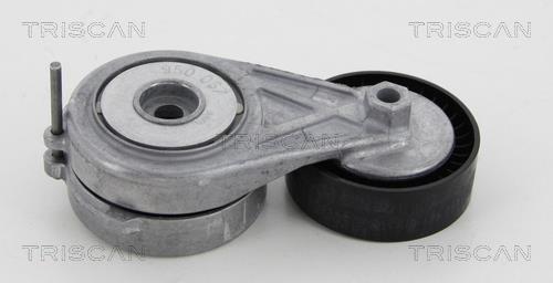 Rolo tensor da correia trapezoidal estriada Triscan A/S ref. 8641 293047