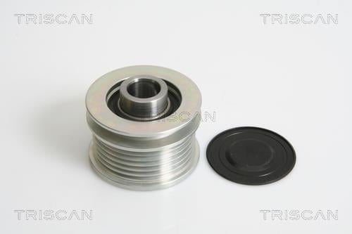 Rueda libre alternador Triscan A/S ref. 8641 294015