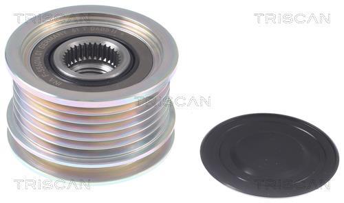 Rueda libre alternador Triscan A/S ref. 8641 384003