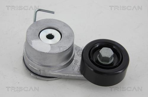 Polea tensora, correa auxiliar servicios Triscan A/S ref. 8641 431003