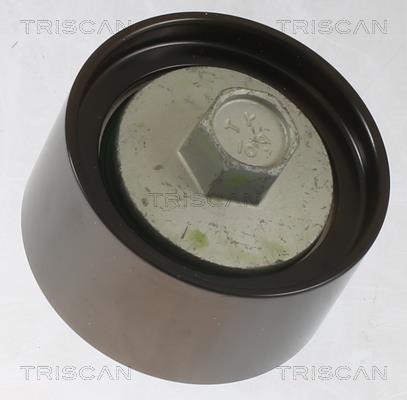Polea inversión/guía, correa auxiliar servicios Triscan A/S ref. 8641 432016