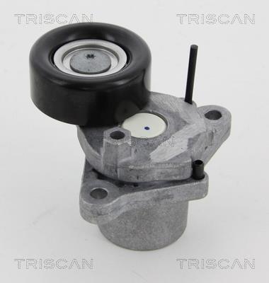 Polea tensora, correa auxiliar servicios Triscan A/S ref. 8641 433003