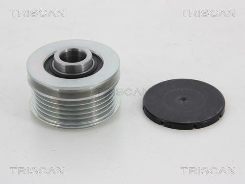 Rueda libre alternador Triscan A/S ref. 8641 434003