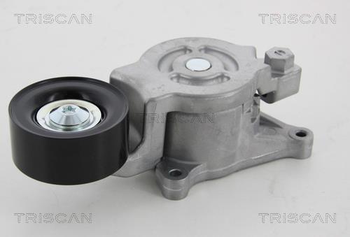 Galet tendeur de courroie d'accessoire Triscan A/S 8641 503007