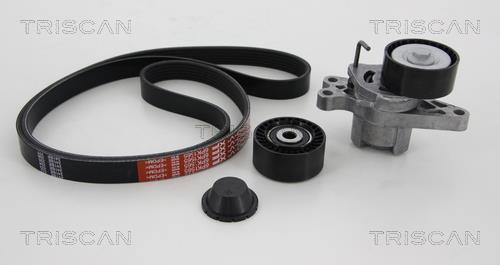 Kit de courroie d'accessoire (Courroie d’alternateur) Triscan A/S 8642 10001