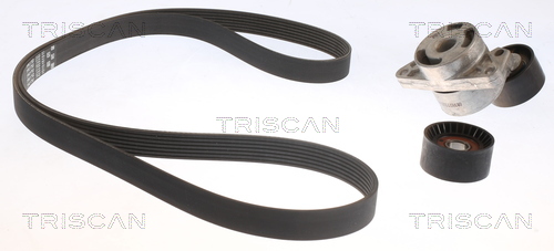 Kit de courroie d'accessoire (Courroie d’alternateur) Triscan A/S 8642 10042