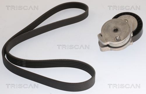 Kit de courroie d'accessoire (Courroie d’alternateur) Triscan A/S 8642 10065