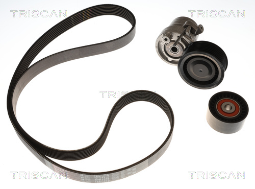 Kit de courroie d'accessoire (Courroie d’alternateur) Triscan A/S 8642 10076