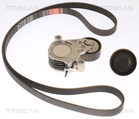 Kit de courroie d'accessoire (Courroie d’alternateur) Triscan A/S 8642 11003
