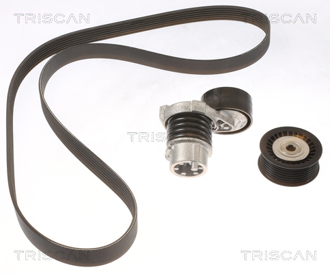 Kit de courroie d'accessoire (Courroie d’alternateur) Triscan A/S 8642 25012