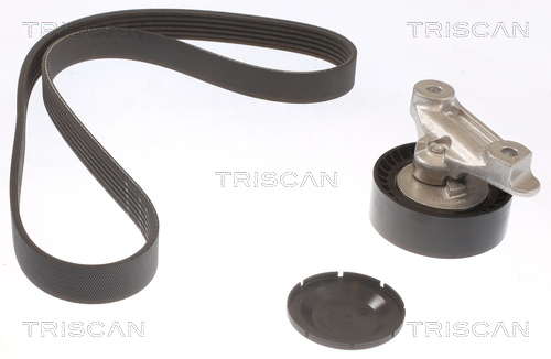 Kit de courroie d'accessoire (Courroie d’alternateur) Triscan A/S 8642 29032