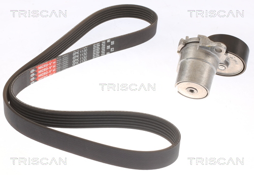 Kit de courroie d'accessoire (Courroie d’alternateur) Triscan A/S 8642 29045