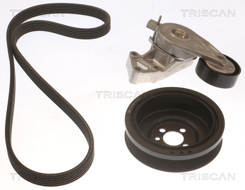 Kit de courroie d'accessoire (Courroie d’alternateur) Triscan A/S 8642 29047