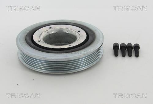 Poulie damper (Poulie de vilebrequin) Triscan A/S ref. 8643 10010A