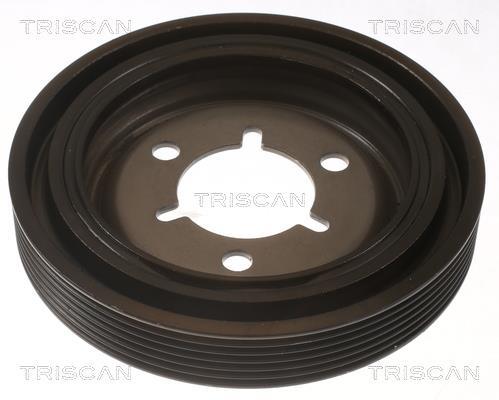 Polia do amortecedor Triscan A/S ref. 8643 10022