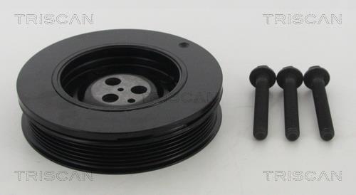 Poulie damper (Poulie de vilebrequin) Triscan A/S ref. 8643 16005A