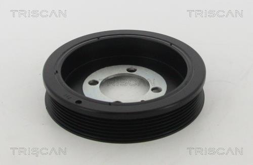 Poulie damper (Poulie de vilebrequin) Triscan A/S 8643 24006