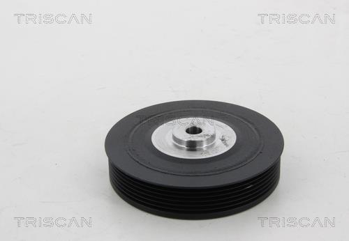 Poulie damper (Poulie de vilebrequin) Triscan A/S ref. 8643 25002