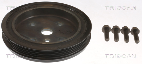 Poulie damper (Poulie de vilebrequin) Triscan A/S ref. 8643 27002