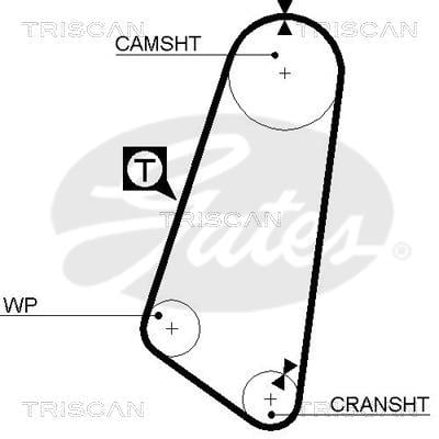Correia de distribuição Triscan A/S ref. 8645 5030